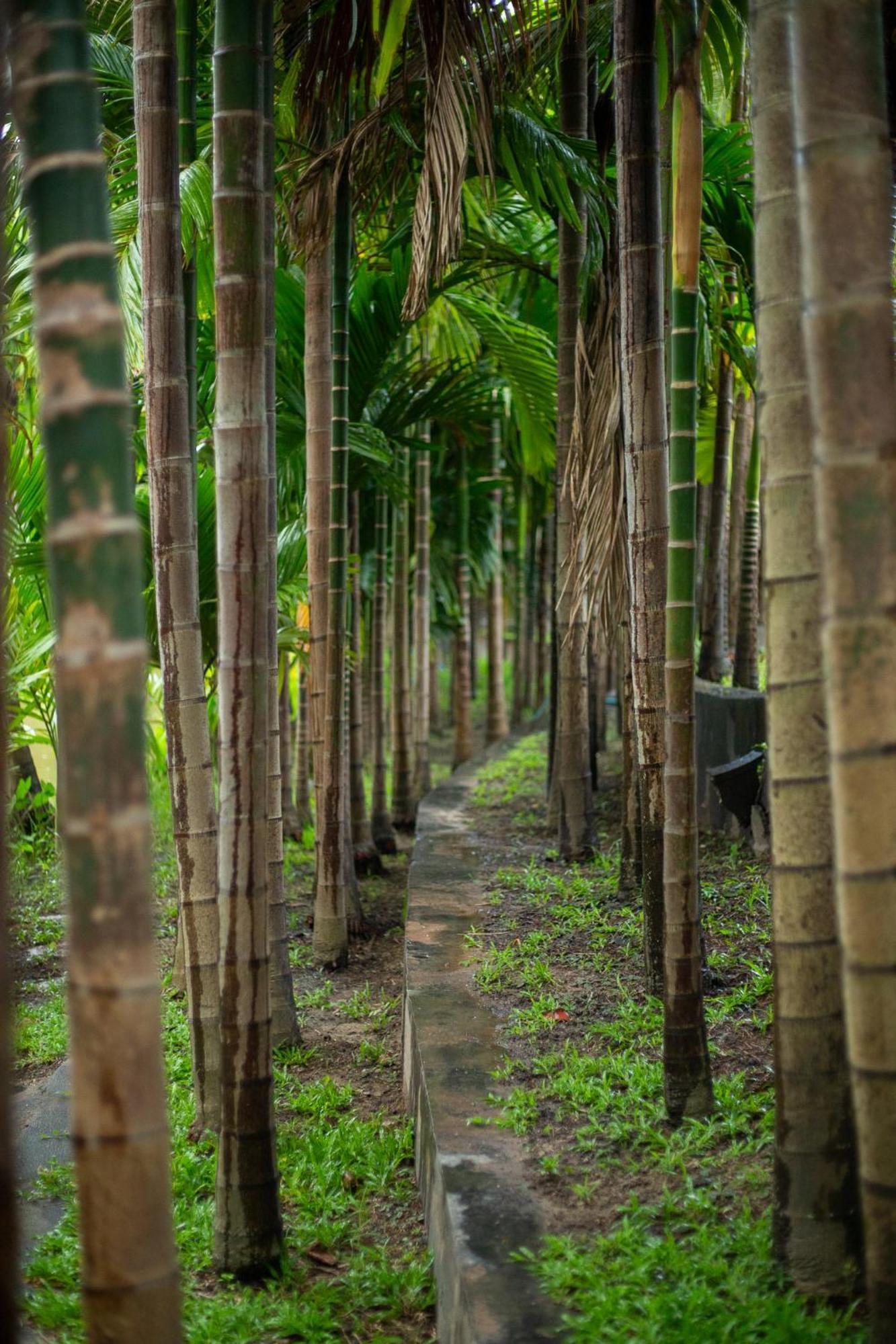 Phanumas Resort Chiang Mai Zewnętrze zdjęcie