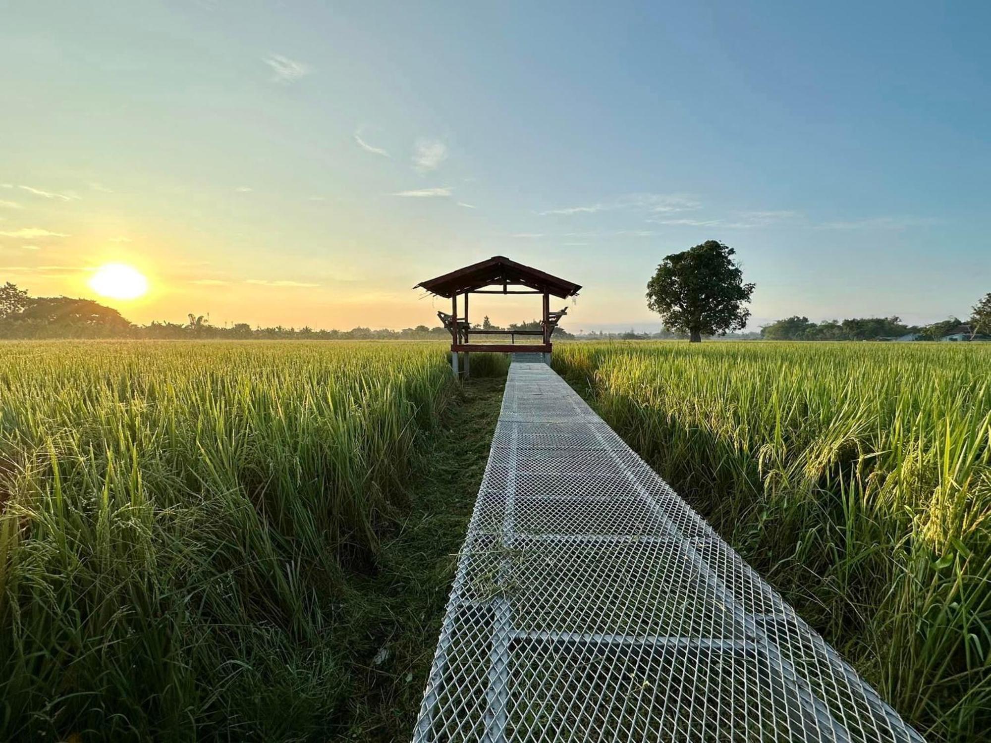 Phanumas Resort Chiang Mai Zewnętrze zdjęcie